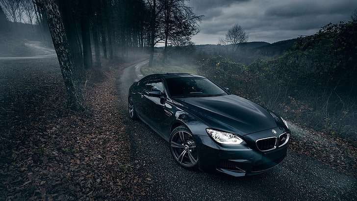 Hd Wallpaper Black Bmw Coupe Car Nature Trees Road Bmw M6 Vehicle Mode Of Transportation Wallpaper Flare