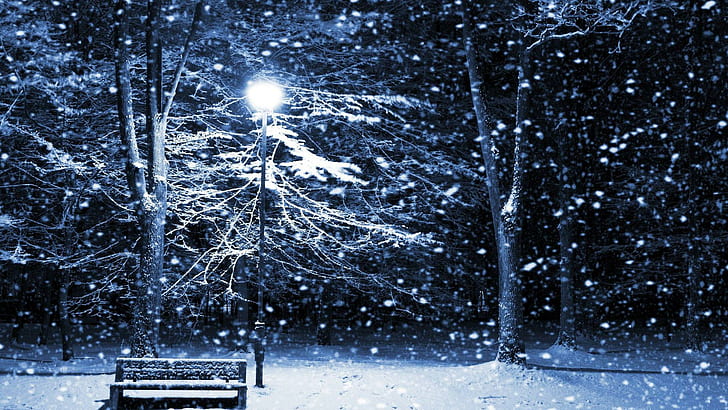 HD wallpaper: Silent Night with Lamp Posts, bench, snow, winter | Wallpaper  Flare