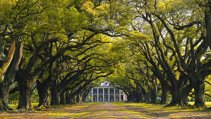 Oak Plantation, New Orleans, Louisiana, Architecture