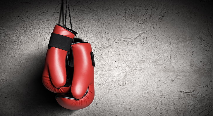 red, boxing, Boxing gloves, HD wallpaper