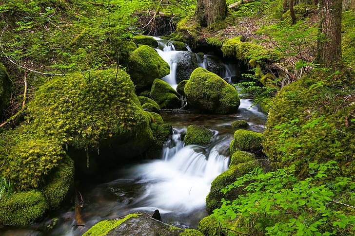 photography of waterfalls between green trees, mount rainier national park, mount rainier national park, HD wallpaper
