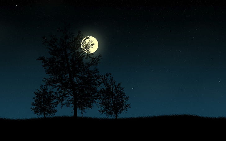 Moonlight watching over the tree, silhouette of tree under full moon, HD wallpaper