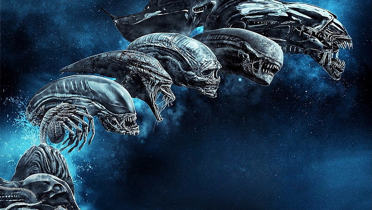 Alien (movie), Alien: Resurrection, Prometheus (movie), facehugger, HD wallpaper