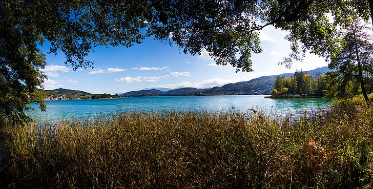 Lake and big grass, Landscapes, mountains, see, wasser, water