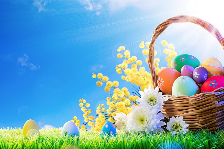 grass, the sun, flowers, basket, spring, Easter, eggs, decoration, HD wallpaper