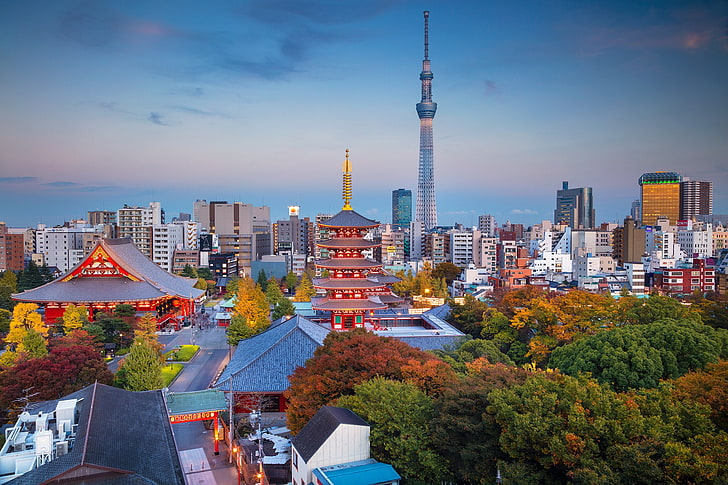 autumn, tower, home, Japan, Tokyo, panorama