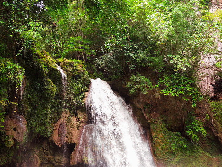 waterfalls and green leafed trees, nature, landscape, Philippines