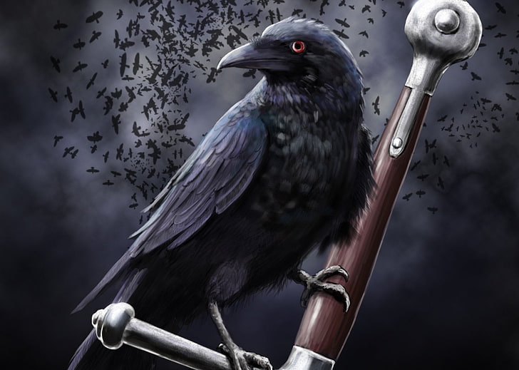 Animal, Crow, Black, Dark, Gothic, Raven, HD wallpaper