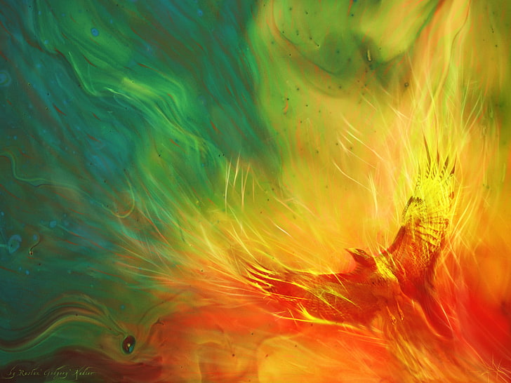 multicolored bird abstract painting, phoenix, backgrounds, motion, HD wallpaper