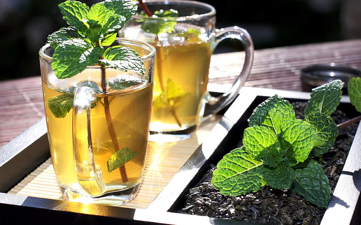 two clear glass teacups, mint sprigs, mugs, mat, mint Leaf - Culinary