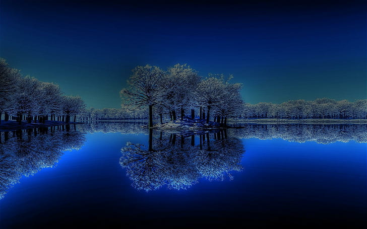 Winter Night In The Lake, picture, calm, flowering tree, nice