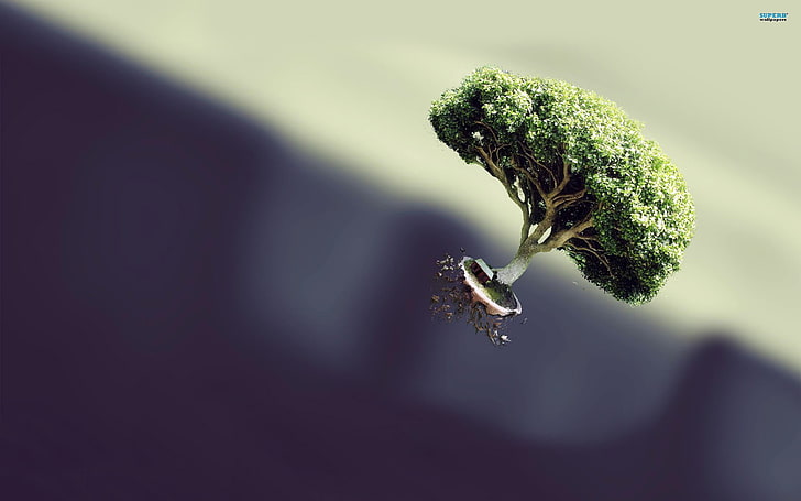 brown tree illustration, trees, digital art, plant, close-up, HD wallpaper