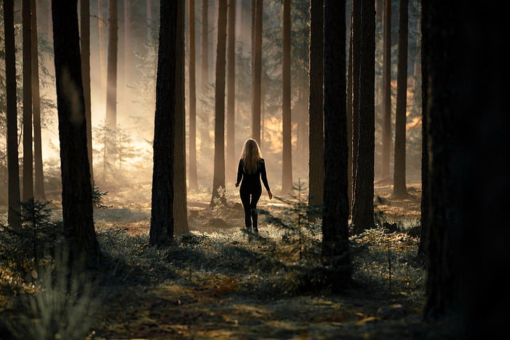 green leafed tree, woman on forest photography, women, trees