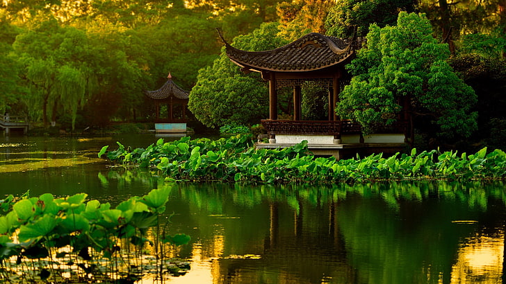 landscape, Japanese Garden, lake, plant, reflection, water, HD wallpaper