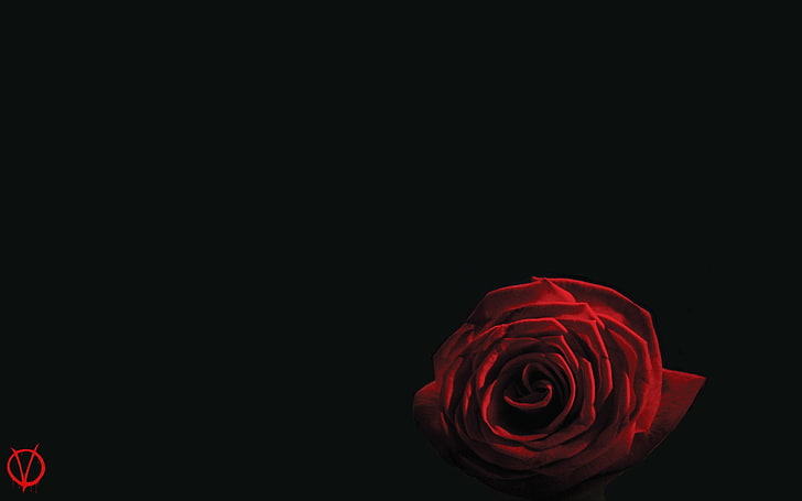 red rose illustration, Movie, V For Vendetta, rose - flower, copy space, HD wallpaper