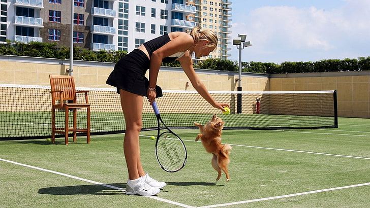 Maria Sharapova, tennis, dog, tennis court, animals, women, HD wallpaper