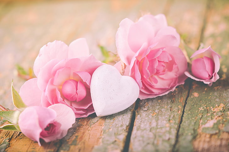 roses, petals, love, heart, pink, flowers, romantic, valentine`s day, HD wallpaper