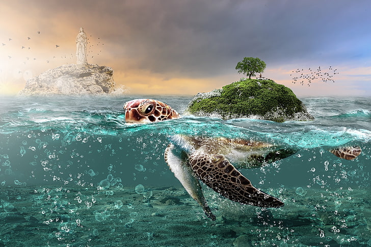 Tortoise, Mystic, 5K, Island, Rocks, Ocean, Bubbles, Underwater