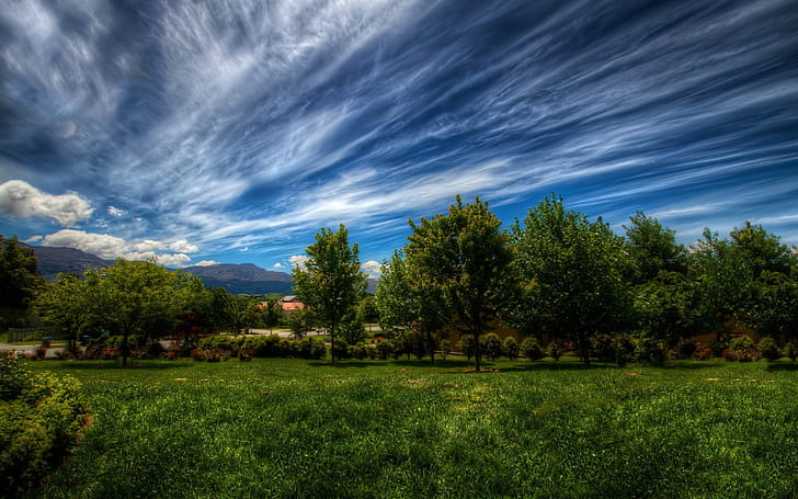 Superb Green Nature Landscape, cumulus clouds above trees in green fold timelapse photo HD wallpaper