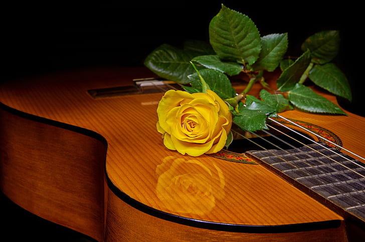 HD wallpaper: style, rose, guitar, yellow rose | Wallpaper Flare