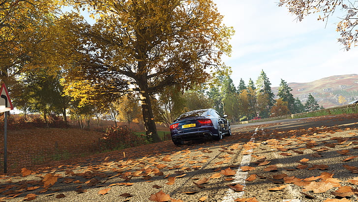Forza Horizon 4, fall, Audi RS7, video games, screen shot