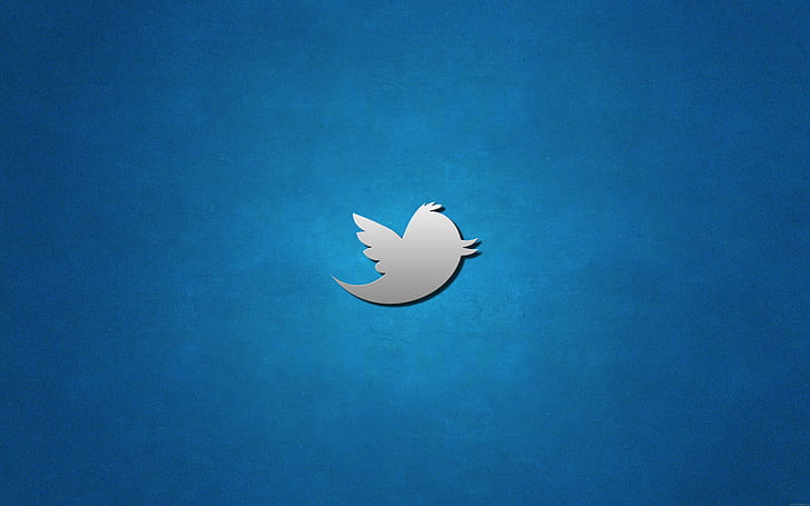 Twitter logo, twitter logo, bird, brand, HD wallpaper