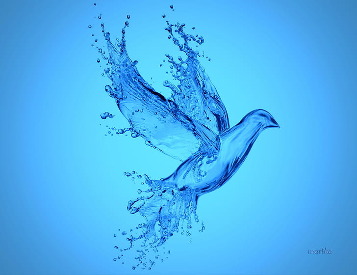 Aqua Bird, water, splash, dove, drops, blue, HD wallpaper