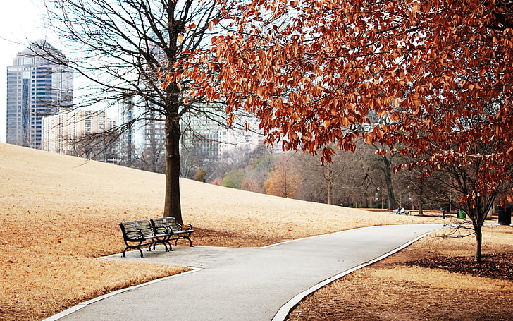 brown wooden bench, city, landscape, park, path, autumn, foliage