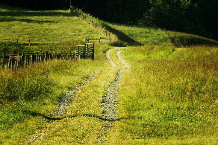 Summer road landscape, field, fence