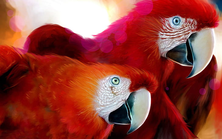 Parrots Widescreen, HD wallpaper