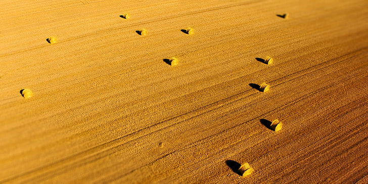 field, aerial view, yellow, no people, wood - material, sunlight, HD wallpaper