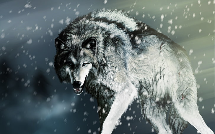 white and black wolf, snow, artwork, animals, one animal, animal themes
