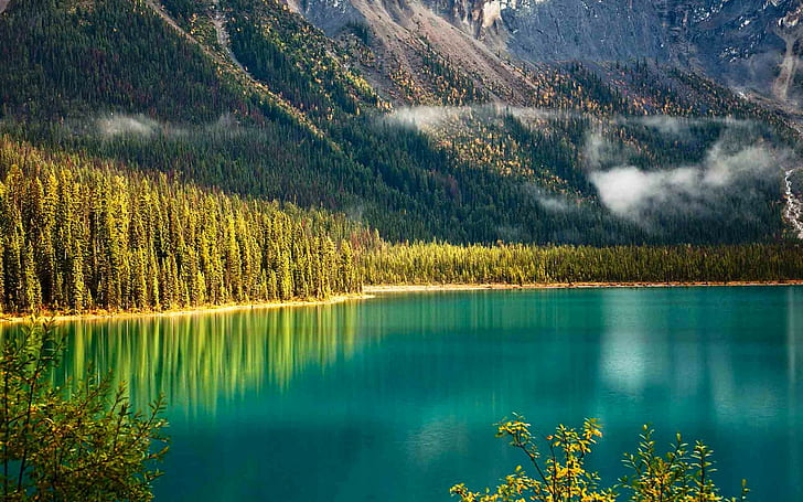 Emerald Lake, Yoho National Park, Canada, forest, trees, mountains, HD wallpaper