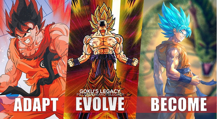 Son Goku evolution, Dragon Ball, Dragon Ball Z, Super Saiyan, HD wallpaper