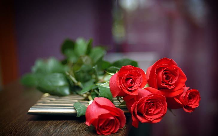 HD wallpaper: Red Roses Love, flower, nature | Wallpaper Flare
