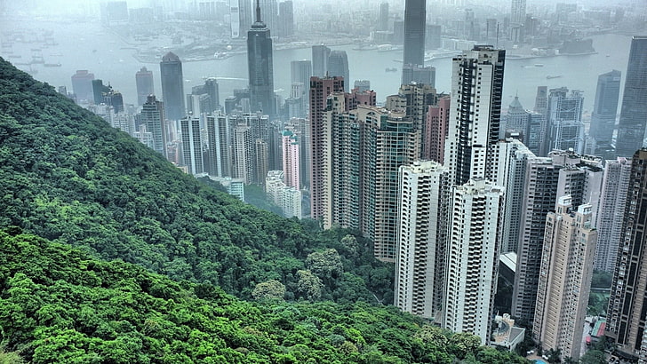 gray buildings, skyscrapers, trees, asia, china - East Asia, hong Kong, HD wallpaper