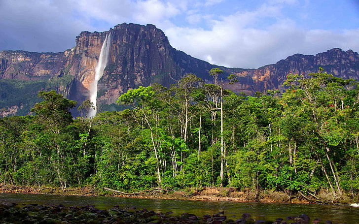 Angel Falls In Venezuela High Rocky Mountains, Tropical Forest With Tall Green Trees, River Desktop Wallpaper Hd For Mobile Phones And Laptops