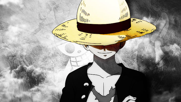 Anime, One Piece, one person, headshot, front view, unrecognizable person
