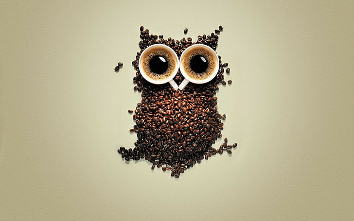 simple background, birds, creativity, coffee beans, owl, animals