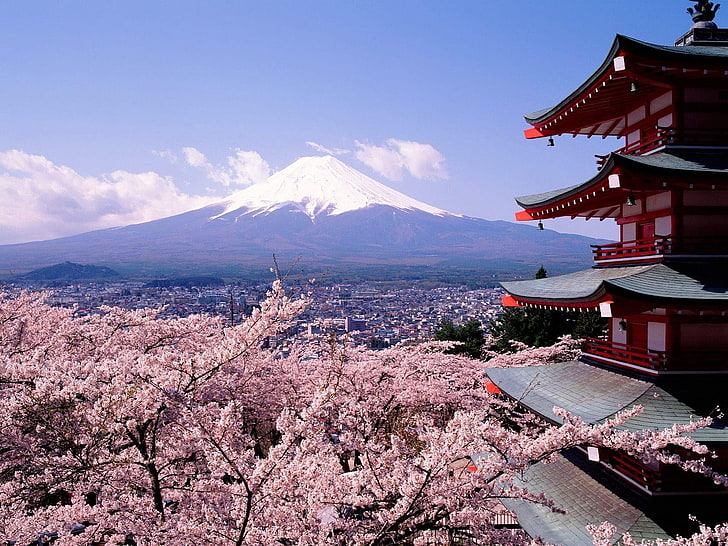 white, red, and gray pagoda temple, landscape, Mount Fuji, Asian architecture, HD wallpaper
