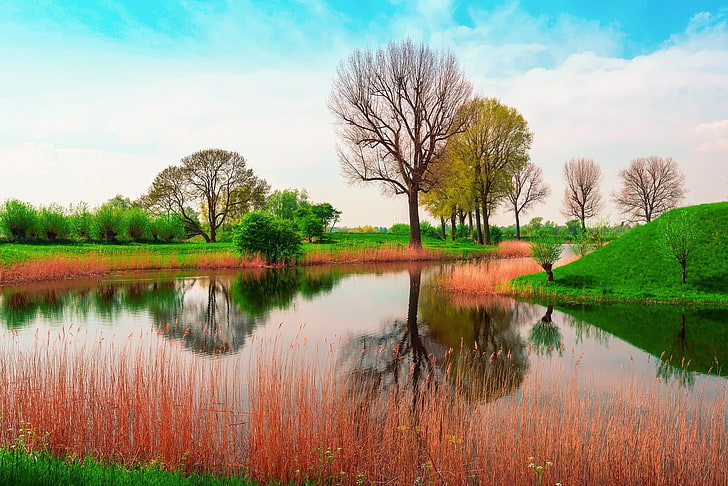 green grass near water, england, may, spring, nature, tree, lake, HD wallpaper