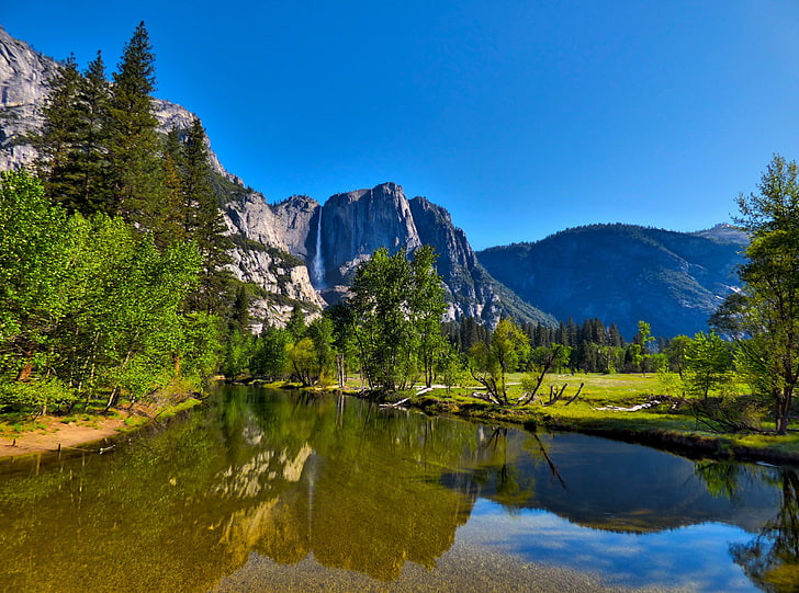 Yosemity National Park Valley, green trees field, United States, HD wallpaper