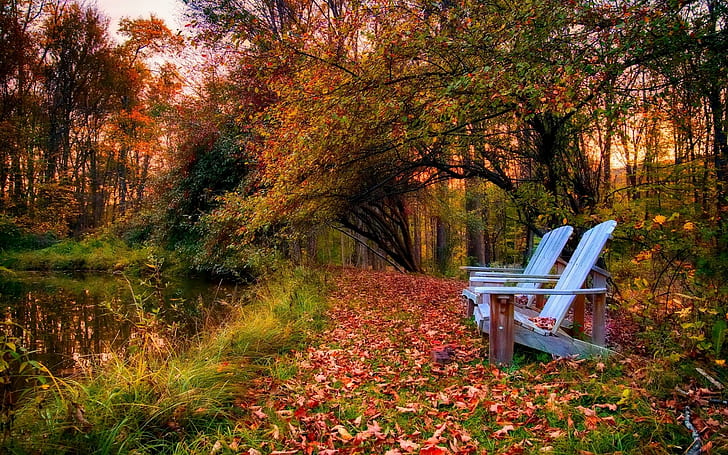 1920x1200 px bench Colorful Fall landscape leaves nature park path photography pond Trees Video Games God of War HD Art, HD wallpaper