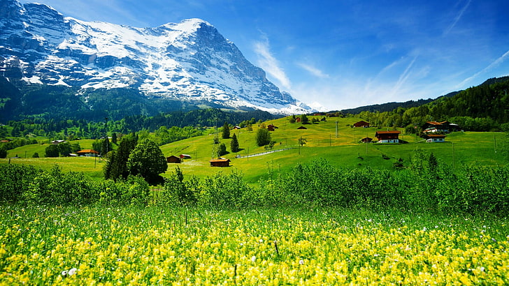 landscape, europe, switzerland, meadows, mountains, sky, alps, HD wallpaper
