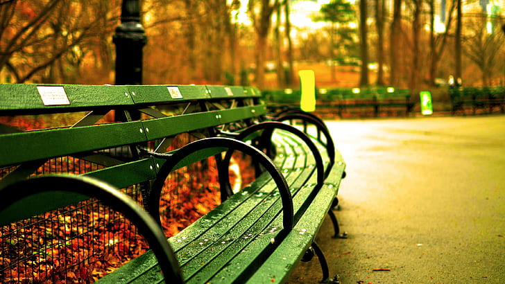 green, park, bench, benches, seats, autumn, wet, rainy day, HD wallpaper