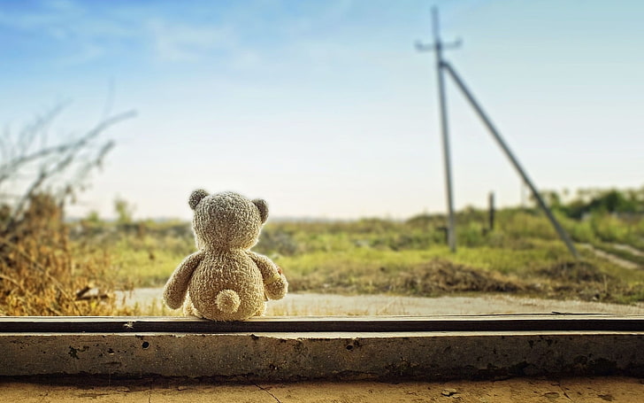 brown bear plush toy, teddy bears, sky, focus on foreground, nature, HD wallpaper