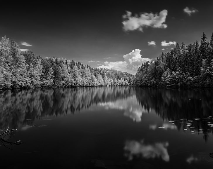 Hd Wallpaper Finland Forest Lake Black, Black And White Forest Landscape