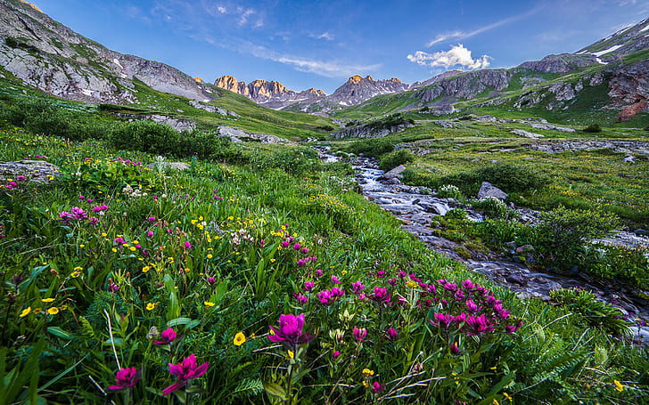 Landscape Beautiful Scenery Rocky Peaks Stream Meadow With Colorful Mountain Flowers Blue Sky Spring In Colorado Hd Wallpaper For Mobile Phones Tablet And Pc 2560×1600
