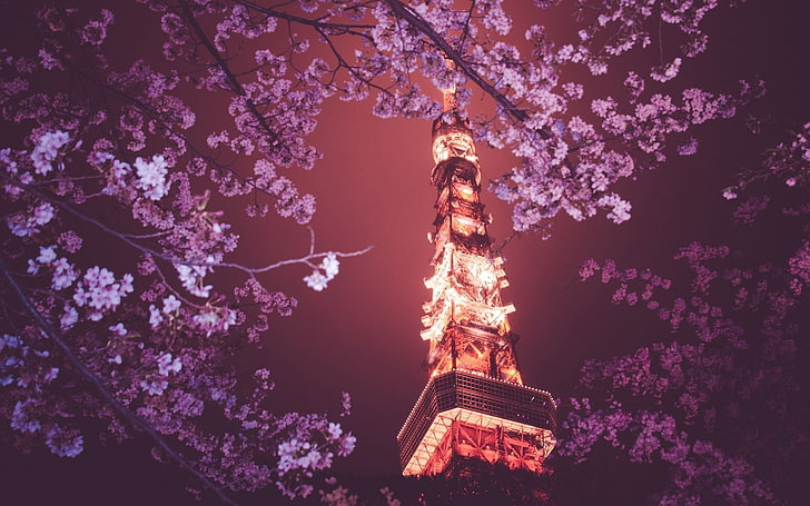 purple flowers, Tokyo Tower, Japan, night, tree, plant, built structure
