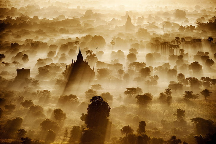 temple surrounded by trees digital wallpaper, sun rays, Bagan